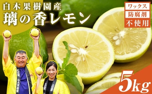 【先行予約】レモン 約5kg 12～25個〈2026年10月下旬～12月上旬頃発送〉 / 璃の香レモン 果物 くだもの 柑橘 フルーツ れもん お取り寄せ 産地直送 おいしい 美味しい 白木果樹園 常温 配送 高知県 高知 土佐市【白木果樹園】 [BQAI026]
