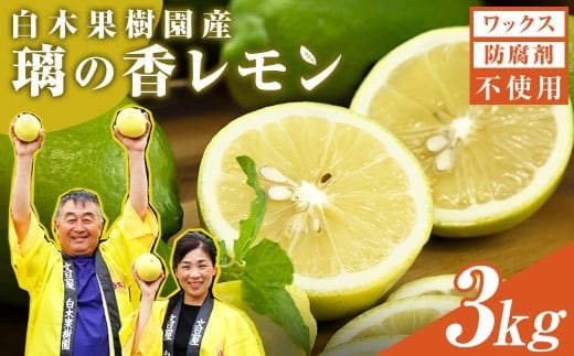 【先行予約】レモン 約3kg 8～15個〈2026年10月下旬～12月上旬頃発送〉 / 璃の香レモン 果物 くだもの 柑橘 フルーツ れもん お取り寄せ 産地直送 おいしい 美味しい 白木果樹園 常温 配送 高知県 高知 土佐市【白木果樹園】 [BQAI025]
