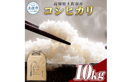 コシヒカリ 10kg 10キロ 精米 白米 お米 ご飯 ごはん 米 kome こめ こしひかり 高知県産 国産 お取り寄せ 常温 高知県 高知 土佐市