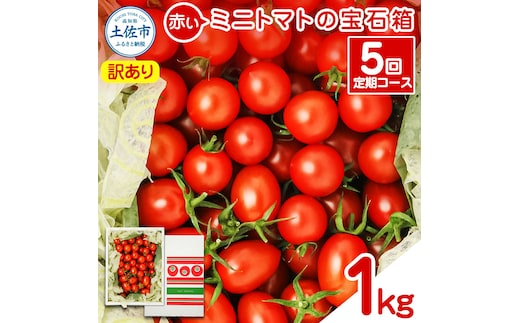 訳あり 赤いミニトマトの宝石箱 約1kg 約1キロ 5回定期便 トマト とまと ミックス 詰め合わせ セット 野菜 料理 サラダ マリネ 浅漬け おやつ 弁当 訳アリ 家庭用 ご自宅用 常温 配送