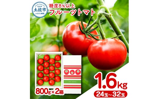 フルーツトマト 約1.6kg(約800g×2) 24～32玉入り 糖度 8度以上 フルーツトマト ふるーつとまと とまと トマト 甘い 濃厚 美味しい 箱入り 野菜 料理 サラダ お取り寄せグルメ 高知県産