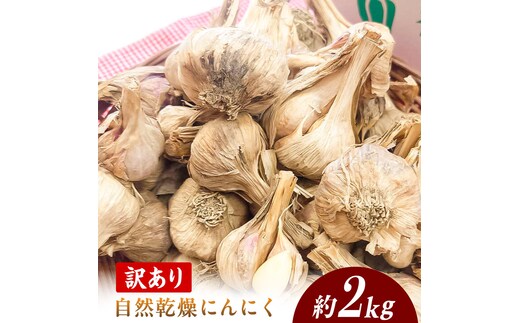 【訳あり】 平戸にんにく 約2kg 乾燥 ニンニク 平戸にんにく 訳アリ わけアリ 不揃い 型崩れ 自然乾燥 大量 大容量 常温 配送 数量限定 高知県産 高知県 土佐市【株式会社 植田ファーム】[BQAT007]