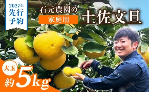 【先行予約】石元農園の土佐文旦 家庭用 大玉 約5キロ ＜2027年2月～発送＞ / 5kg 3Lサイズ 4Lサイズ 文旦 ぶんたん 柑橘 かんきつ みかん フルーツ デザート 果物 高知 【石元農園】 [BQBH005]