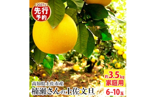 【先行予約】楠瀬さんの土佐文旦 家庭用 約3.5kg サイズ混合 高知 土佐 文旦 ぶんたん ブンタン 柑橘 みかん 果物 3.5キロ 6～10玉 フルーツ 旬 不揃い ご自宅用 常温【まる庄果樹園】〈2027年2月15日～2027年4月5日発送〉 [BQAF022]