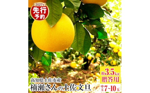 【先行予約】楠瀬さんの土佐文旦 贈答用中玉 約3.5kg 期間限定 高知 土佐 文旦 ぶんたん ブンタン 柑橘 みかん 果物 3.5キロ 2Lサイズ 7～10玉 フルーツ 旬【まる庄果樹園】〈2027年2月15日～2027年4月5日発送〉 [BQAF024]