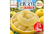 土佐文旦 小玉 3kg 家庭用 日本ギフト大賞受賞 文旦発祥の地 園主こだわり 食べ切りサイズ L～M 高知県土佐市産 高知県産 国産 3キロ ぶんたん ブンタン みかん 柑橘類 高級フルーツ 果物 産地直送 お取り寄せ ギフト 数量限定 季節限定 先行予約 やの一果彩[BQAC016]