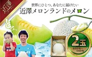 【先行予約】メロン 2玉入り（1玉約1.4kg～1.8kg）青肉 〈2027年6月中旬～7月中旬頃発送〉メロン めろん マスクメロン 舐瓜 果物 くだもの フルーツ デザート 旬 ハウス栽培【株式会社とさもん】[BQAE027]