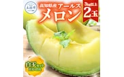 高級土佐アールスメロン2玉入り メロン めろん 白玉セット 白玉×白玉 3kg以上 舐瓜 果物 くだもの フルーツ デザート スイーツ おやつ 高級 常温 配送