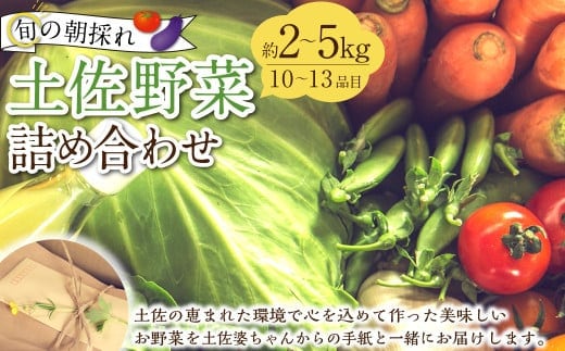 旬の朝採れ土佐野菜詰め合わせ(10~13品目)詰め合わせ 野菜セット 野菜 ギフト やさいセット お取り寄せグルメ 家庭用 旬野菜 新鮮 特産 農薬不要 食材