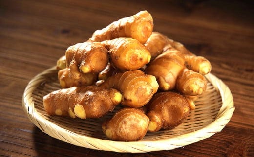 【高知県産】黄金しょうが 2kg ショウガ 生姜 野菜 特産品