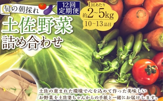 【定期便12回】旬の朝採れ土佐野菜詰め合わせ(10~13品目)詰め合わせ 野菜セット 野菜 ギフト やさいセット お取り寄せグルメ 家庭用 旬野菜 新鮮 特産 農薬不要 食材