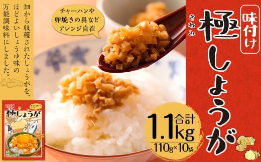 味付け極みしょうが 110g×10袋 生姜 ショウガ しょうが 万能調味料