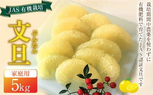 JAS 有機栽培 文旦 5kg 家庭用 ぶんたん 柑橘 フルーツ 果物 お取り寄せ 【2026年2月上旬~3月上旬迄発送予定】