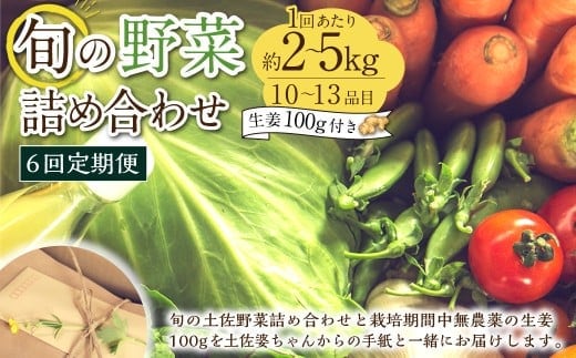 【定期便6回】旬の野菜の詰め合わせと栽培期間中農薬不使用の生姜100g付き 詰め合わせ 野菜セット 野菜 ギフト やさいセット お取り寄せグルメ 家庭用 旬野菜 新鮮 特産 農薬不要 食材