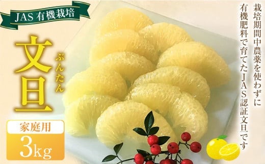 JAS 有機栽培 文旦 3kg 家庭用 ぶんたん 柑橘 フルーツ 果物 お取り寄せ 【2026年2月上旬~3月上旬迄発送予定】