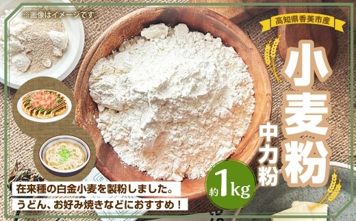 小麦粉 ( 中力粉 ) 約1kg 小麦粉 小麦 白金小麦 グルテン