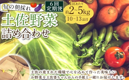 【定期便6回】旬の朝採れ土佐野菜詰め合わせ(10~13品目)詰め合わせ 野菜セット 野菜 ギフト やさいセット お取り寄せグルメ 家庭用 旬野菜 新鮮 特産 農薬不要 食材