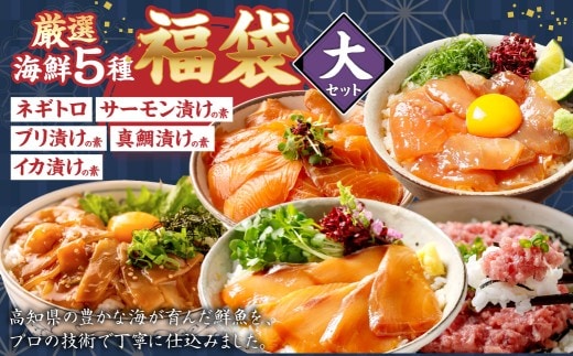 海鮮職人の厳選五種福袋 大 鮮魚 ネギトロ サーモン ブリ 真鯛 イカ ギフト 福袋 魚 海鮮 魚類 魚介 厳選 サーモンの漬け丼 ブリ漬け丼 真鯛漬け丼 イカ漬け丼 冷凍 宝箱 海鮮料理 食べきりサイズ