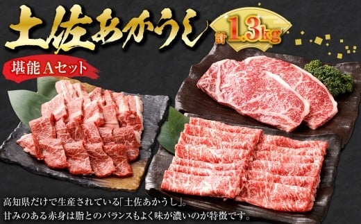 【3ヶ月定期便】 出荷数0.02%の奇跡 土佐あかうし 堪能 A セット (和牛 サーロイン すき焼き用 約500g 、和牛サーロインステーキ 約200g ×2、和牛カルビ焼肉 約200g / モモ焼肉 約200g) 計1.3kg 赤身 お肉 肉 牛肉 牛 あか牛 高知県 冷凍 香美市