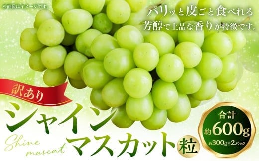 (訳あり) シャインマスカット粒 約600g(約300g×2パック) シャインマスカット マスカット ぶどう ブドウ 葡萄 果物 くだもの フルーツ 常温 【2026年8月上旬~9月下旬迄発送予定】