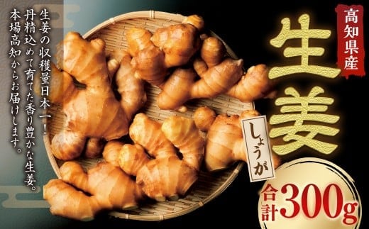 高知県産 香り大生姜 300g / 大生姜 生姜 しょうが 野菜 ジンジャー 薬味 高知県 香美市 常温