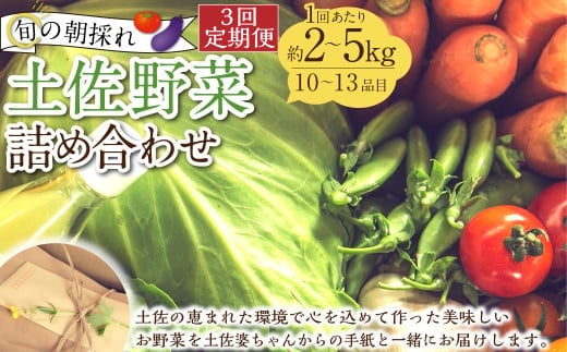 【定期便3回】旬の朝採れ土佐野菜詰め合わせ(10~13品目)詰め合わせ 野菜セット 野菜 ギフト やさいセット お取り寄せグルメ 家庭用 旬野菜 新鮮 特産 農薬不要 食材