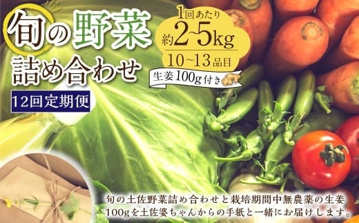 【定期便12回】旬の野菜の詰め合わせと栽培期間中農薬不使用の生姜100g付き 詰め合わせ 野菜セット 野菜 ギフト やさいセット お取り寄せグルメ 家庭用 旬野菜 新鮮 特産 農薬不要 食材
