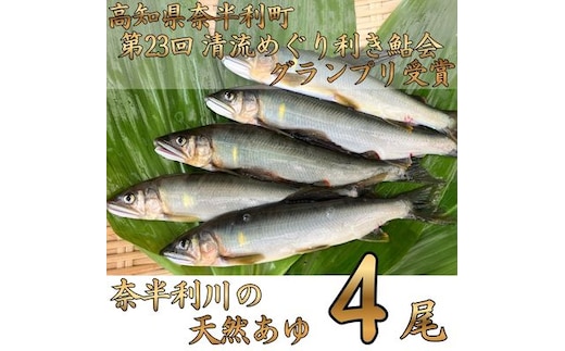 107001 奈半利川の友釣り天然アユ（冷凍）４尾