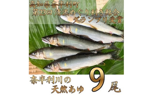 107002 奈半利川の友釣り天然アユ（冷凍）９尾