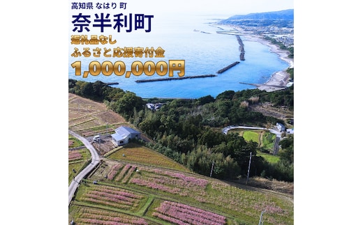 999999-9【応援寄附金】高知県奈半利町 1口 100万円 返礼品なしのご寄附 【奈半利町役場】