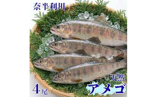 107003 奈半利川の天然アメゴ（冷凍）４尾
