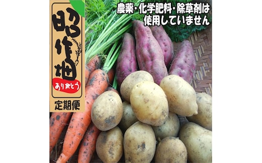 106901 昭作畑 定期便