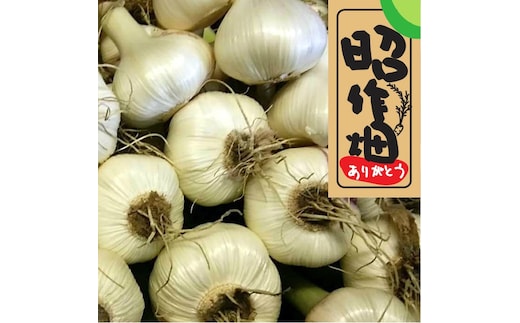 106002 新にんにく 5㎏