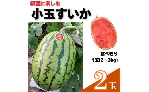 103004 山中農園 小玉すいか２玉