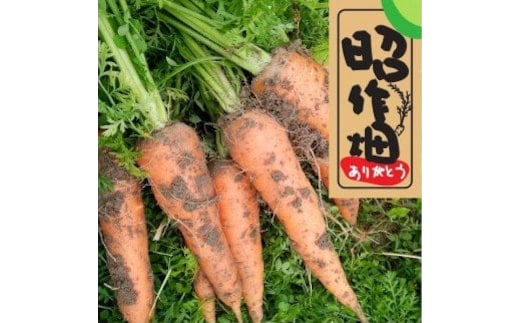 106006 土付きにんじん 2㎏