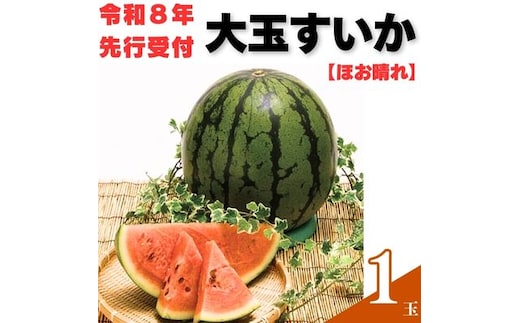 103001 山中農園のスイカ 1玉