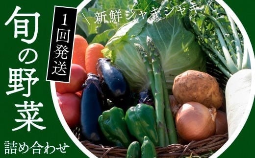 116001 ちょこっと野菜セット