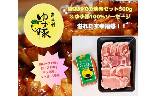 112003 厳選部位の焼肉セット500ｇ＋ソーセージ5本入り
