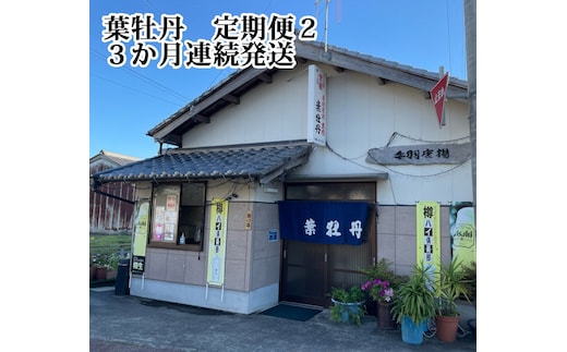 119904 葉牡丹 定期便2