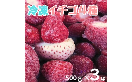 110006 冷凍いちご4種 500ｇ×3袋