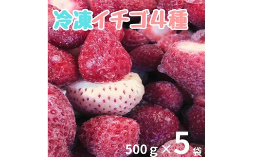 110007 冷凍いちご4種 500ｇ×5袋