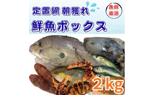133001 定置網朝どれ鮮魚ボックス2kg