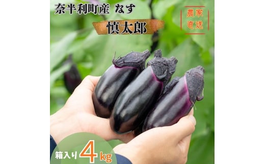 131002 奈半利町の茄子【慎太郎】4kg 