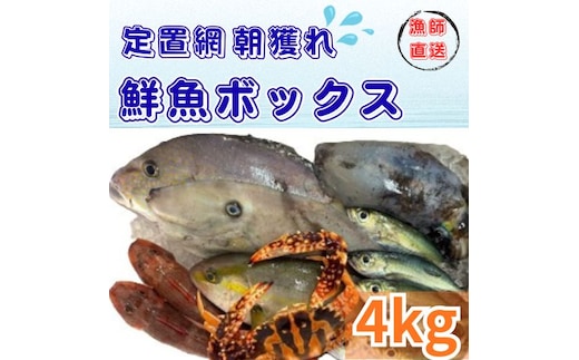 133002 定置網朝どれ鮮魚ボックス4kg