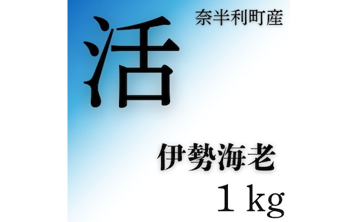 133004 活 伊勢海老（1kg）