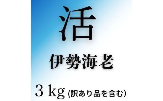 133005活 伊勢海老（3kg）訳あり品を含む