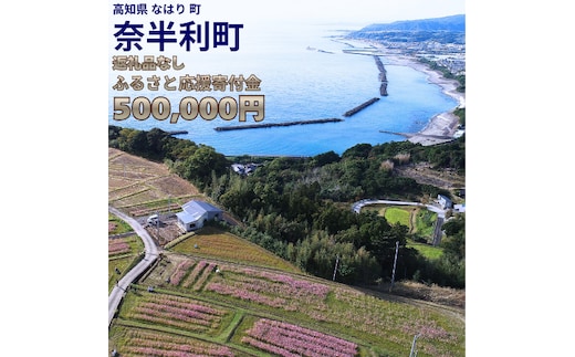 999999-8【応援寄附金】高知県奈半利町 1口 50万円 返礼品なしのご寄附 【奈半利町役場】