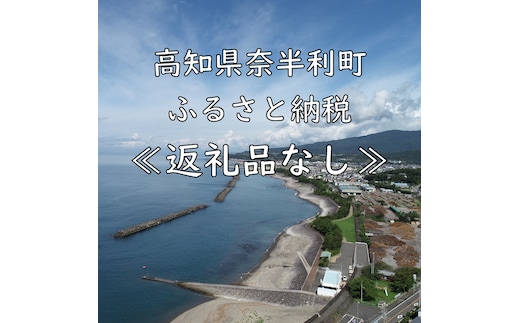 999999-1【応援寄附金】高知県奈半利町 1口 1000円 返礼品なしのご寄附 【奈半利町役場】