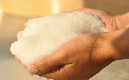 【四国一小さなまち】田野屋塩二郎の完全天日塩 幻の塩 肉料理用 ３Kg