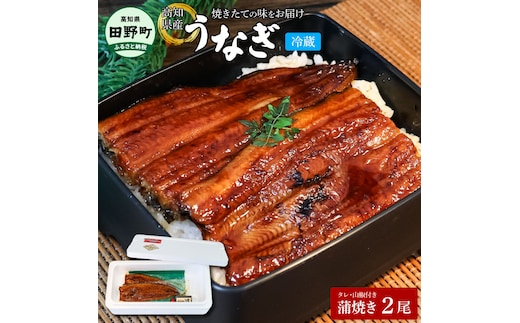 ～四国一小さなまち～ ヤマシン特選うなぎの蒲焼き2尾（特製タレ付き） 130g×2尾 うなぎ 鰻 ウナギ 国産 高知県産 2尾 蒲焼 かばやき 特製タレ 冷蔵 配送